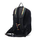 【日本正規品】 チャムス リュック メンズ レディース 大容量 通学 CHUMS バッグ カジュアル 軽量 ブランド アウトドア バックパック デイパック 2WAY ウエストバッグ A4 30L Spring Dale CH60-3998