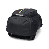 【日本正規品】 チャムス リュック メンズ レディース 大容量 通学 CHUMS バッグ カジュアル 軽量 ブランド アウトドア バックパック デイパック 2WAY ウエストバッグ A4 30L Spring Dale CH60-3998