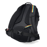 【日本正規品】 チャムス リュック メンズ レディース 大容量 通学 CHUMS バッグ カジュアル 軽量 ブランド アウトドア バックパック デイパック 2WAY ウエストバッグ A4 30L Spring Dale CH60-3998