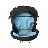 【日本正規品】 チャムス リュック メンズ レディース 大容量 通学 CHUMS バッグ カジュアル 軽量 ブランド アウトドア バックパック デイパック 2WAY ウエストバッグ A4 30L Spring Dale CH60-3998