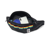 【日本正規品】 チャムス リュック メンズ レディース 大容量 通学 CHUMS バッグ カジュアル 軽量 ブランド アウトドア バックパック デイパック 2WAY ウエストバッグ A4 30L Spring Dale CH60-3998