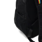 【日本正規品】 チャムス リュック メンズ レディース CHUMS 通学 小さめ おしゃれ カジュアル 大人 20L A4 トレッキング 登山 アウトドア 軽量 バックパック Spring Dale スプリングデール20 CH60-4099