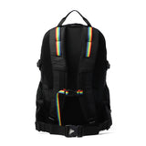 【日本正規品】 チャムス リュック メンズ レディース CHUMS 通学 大きめ おしゃれ カジュアル 大人 25L A4 B4 トレッキング 登山 アウトドア レインカバー Spring Dale スプリングデール25 CH60-4098