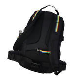 【日本正規品】 チャムス リュック メンズ レディース CHUMS 通学 大きめ おしゃれ カジュアル 大人 25L A4 B4 トレッキング 登山 アウトドア レインカバー Spring Dale スプリングデール25 CH60-4098