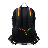 【日本正規品】 チャムス リュック メンズ レディース CHUMS 通学 大きめ おしゃれ カジュアル 大人 30L A4 B4 トレッキング 登山 アウトドア レインカバー Spring Dale スプリングデール30 CH60-4097