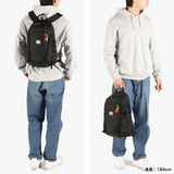 カリマー リュック メンズ レディース KARRIMOR バッグ リュックサック 軽量 軽い 通学 通勤 旅行 アウトドア 登山 山登り ハイキング トレッキング カジュアル おしゃれ バックパック A4 20L VT day pack F 501220