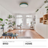 【正規品1年保証】 ブリッド シーリングライト おしゃれ LED 薄型 BRID 明るい リビング 木目調 北欧 リモコン 照明 天井照明 ライト 調光 調色 タイマー メモリー機能 ナイトモード 常夜灯 Olika CELING LIGHT Ver.2 003371