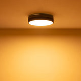 【正規品1年保証】 ブリッド シーリングライト おしゃれ LED 薄型 BRID 明るい リビング 木目調 北欧 リモコン 照明 天井照明 ライト 調光 調色 タイマー メモリー機能 ナイトモード 常夜灯 Olika CELING LIGHT Ver.2 003371
