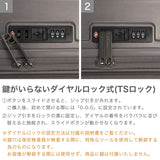 【正規品1年保証】 ティエラル スーツケース Mサイズ 大きめ TIERRAL キャリーバッグ キャリーケース 軽量 軽い メンズ レディース おしゃれ 拡張 旅行 出張 TSA 77L 86L フォルマ Forma M TFRM-002