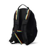 【日本正規品】 チャムス リュック メンズ レディース CHUMS 通学 小さめ おしゃれ カジュアル 大人 20L A4 トレッキング 登山 アウトドア 軽量 バックパック Spring Dale スプリングデール20 CH60-4099