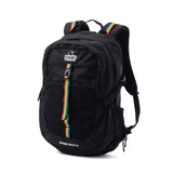 【日本正規品】 チャムス リュック メンズ レディース CHUMS 通学 大きめ おしゃれ カジュアル 大人 25L A4 B4 トレッキング 登山 アウトドア レインカバー Spring Dale スプリングデール25 CH60-4098