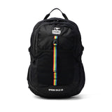 【日本正規品】 チャムス リュック メンズ レディース CHUMS 通学 大きめ おしゃれ カジュアル 大人 25L A4 B4 トレッキング 登山 アウトドア レインカバー Spring Dale スプリングデール25 CH60-4098