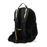 【日本正規品】 チャムス リュック メンズ レディース CHUMS 通学 大きめ おしゃれ カジュアル 大人 25L A4 B4 トレッキング 登山 アウトドア レインカバー Spring Dale スプリングデール25 CH60-4098