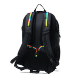 【日本正規品】 チャムス リュック メンズ レディース CHUMS 通学 大きめ おしゃれ カジュアル 大人 30L A4 B4 トレッキング 登山 アウトドア レインカバー Spring Dale スプリングデール30 CH60-4097