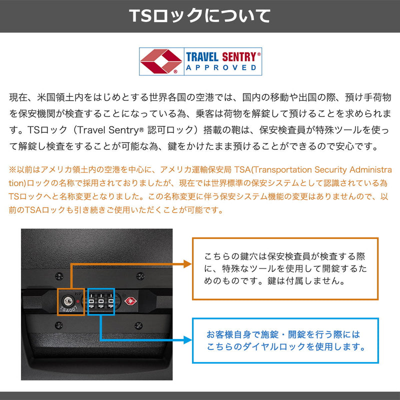 フリクエンター スーツケース Lサイズ FREQUENTER リエーヴェ 軽量 フレームタイプ キャリーケース 静音 TSAロック 旅行 海外旅行 かわいい おしゃれ 90L 9泊 10泊 LIEVE 4輪キャリーフレーム型 67cm 1-531