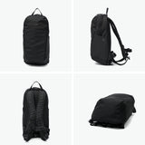 パックセーフ リュック メンズ レディース 軽量 小さめ pacsafe ブランド カジュアル ビジネス 撥水 コンパクト 旅行 通勤 通学 タブレット収納 盗難防止 キャリーオン B5 11inch 12L V12 テックバックパック