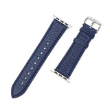 ペッレモルビダ Apple watch バンド レザー ベルト メンズ レディース おしゃれ PELLE MORBIDA 革 本革 AppleWatch アップルウォッチ アップルウォッチバンド 上品 日本製 S L Barca Apple Watch Belt BAW601