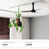 【正規品1年保証】 ブリッド ダクトレールファン BRID シーリングファン 扇風機 ダクトレール用 ファン レールファン DCモーター おしゃれ シンプル 静音 超軽量 DUCT RAIL FAN DC basic 40 003389