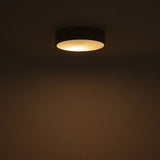 【正規品1年保証】 ブリッド シーリングライト おしゃれ LED 薄型 BRID 明るい リビング 木目調 北欧 リモコン 照明 天井照明 ライト 調光 調色 タイマー メモリー機能 ナイトモード 常夜灯 Olika CELING LIGHT Ver.2 003371