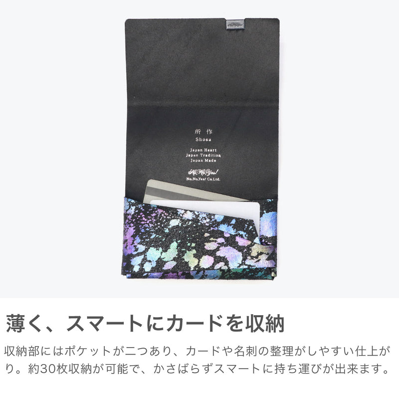 shoukaku shosa aurora cass case case sho-ca1c sho-ca1c