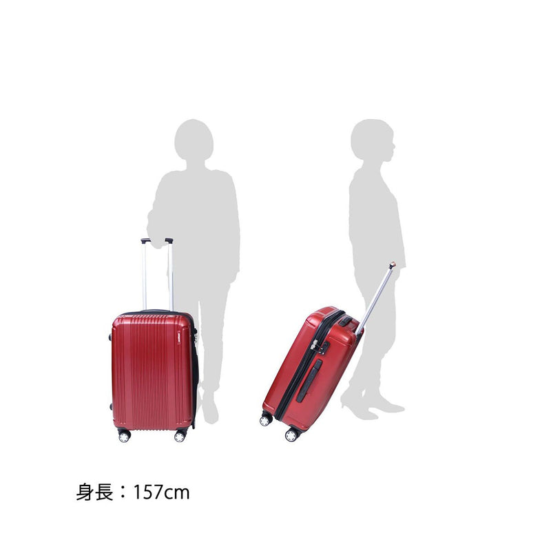  [regular article one year guarantee] four bar trout suitcase BERMAS bar trout suitcase prestige 2PRESTIGEII carry case fastener 49L small size small size TSA lock 1-3 day degree hard lightweight traveling bag trip bag 60253(60263)