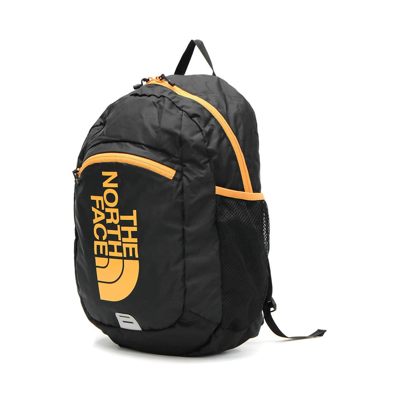 THE NORTH FACE The North Face Fly Weight Day 15L Kids NMJ72000